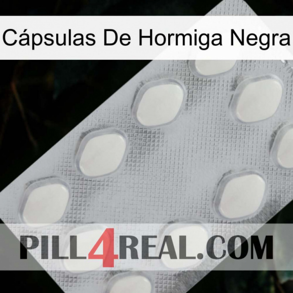 Cápsulas De Hormiga Negra 16.jpg